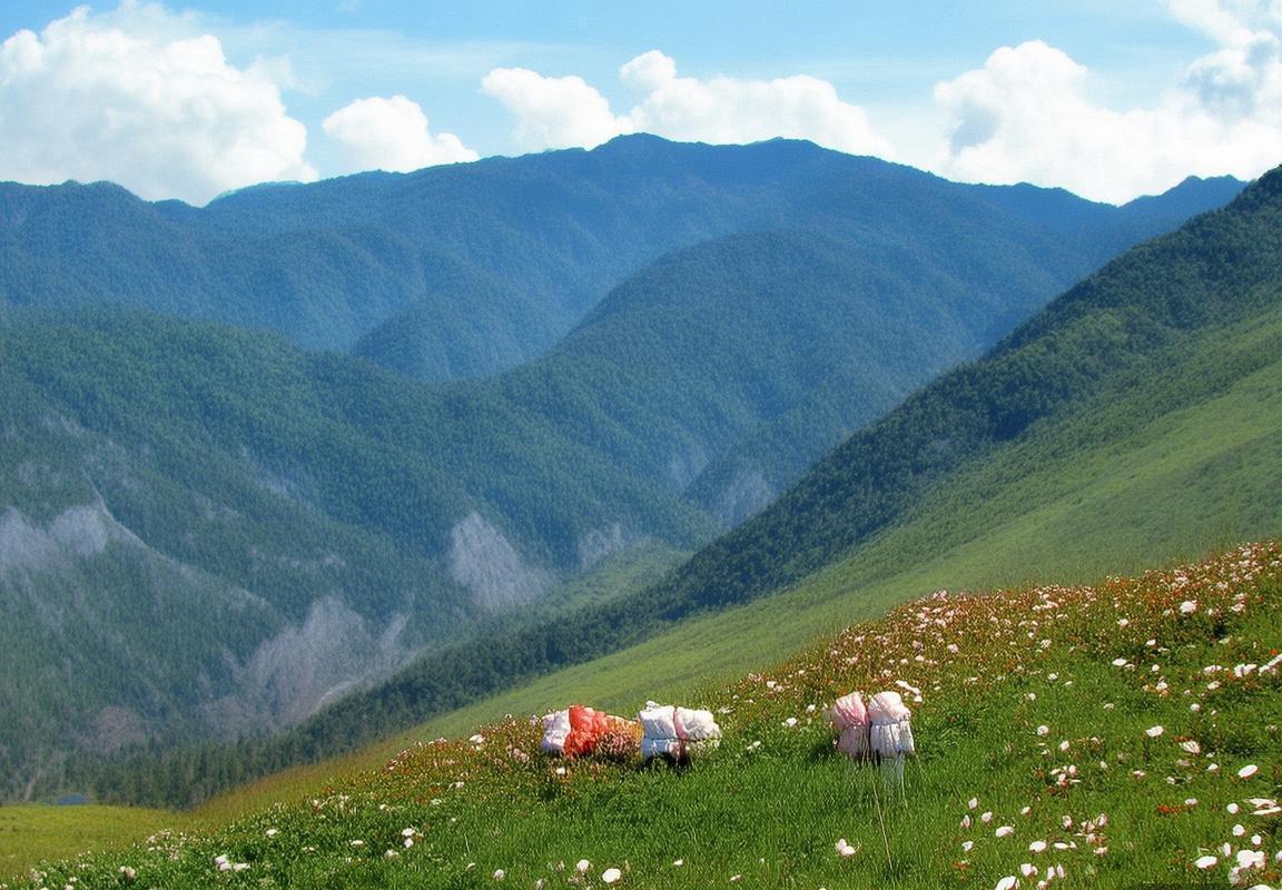 欧冠黑马豪取六连胜三球完胜，攻守密码揭秘双冠王之路